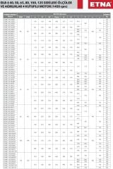 Etna EILR4 40-125/0,55 kW - 1450 devir Kuru Rotorlu Sir. Pom.
