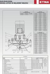 Etna EILR4 40-160/0,37 kW - 1450 devir Kuru Rotorlu Sir. Pom.