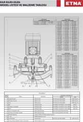 Etna EILR4 40-200/0,55 kW - 1450 devir Kuru Rotorlu Sir. Pom.