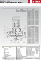 Etna EILR4 40-200/0,75 kW - 1450 devir Kuru Rotorlu Sir. Pom.