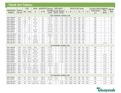Baymak 2KVC 65/80 T  Çift Pompalı Hidrofor - 15 Kat  36  Daire - 380V
