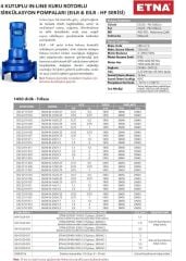 Etna EILR4 40-250/3 kW - 1450 devir Kuru Rotorlu Sir. Pom.