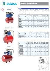 Sumak SYMTH8 300/8 Tri - 3 HP - 10-14kat/24-30 daire - 100 Lt. Yatık Tanklı