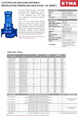 Etna EILR4 80-160/0,75 kW - 1450 devir Kuru Rotorlu Sir. Pom.