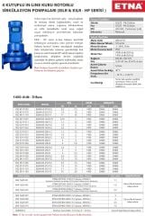 Etna EILR4 80-200/1,1 kW - 1450 devir Kuru Rotorlu Sir. Pom.