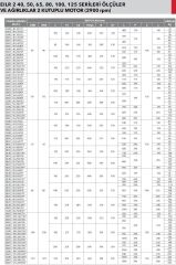 Etna EILR 40-200/4 kW - 2900 devir Kuru Rotorlu Sir. Pom.