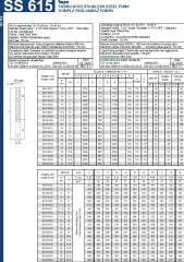 İmpo SS 615/21 -6'' Tek Dalgıç Pompa (252 mss/ 15 HP) - 21 Kademe