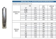 İmpo 4'' Dalgıç Motoru FR - 7,5 HP (5,5 KW) - 380 V - Trifaze