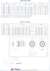 Etech EH 3/8  1.8 Hp Yatay Çok Kademeli Pompa