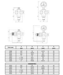 Case PM Su Basınç Düş. 1 '' (0325 Maks.25 Bar)