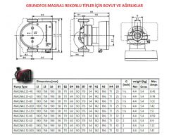 Grundfos Magna1 25-80 180 Rekorlu FK Sir.Pom. - 1''