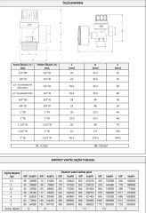 Case Emniyet Ventili ½’’ - 8 Bar (07-1581)