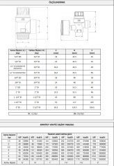 Case Emniyet Ventili 1½'' - 5 Bar (07-4051)