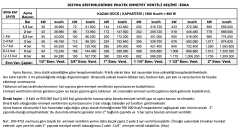 Ara Ayarlanabilir Yaylı Emniyet Ventili S101 - ½’’