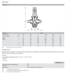 Honeywell D06FN-1/2B Düşük Basınç Düşürücü - 0,5-2 Bar - 1/2'