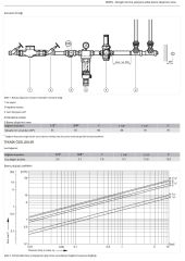 Honeywell D06FN-3/4B Düşük Basınç Düşürücü - 0,5-2 Bar - 3/4''