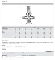 Honeywell D06FN-1B Düşük Basınç Düşürücü - 0,5-2 Bar - 1''