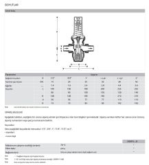 Honeywell D06FN-11/4B Düşük Basınç Düşürücü - 0,5-2 Bar - 1 1/4''