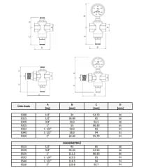 Case PM Su Basınç Düş. 1/4 '' (0308 Maks.25 Bar)